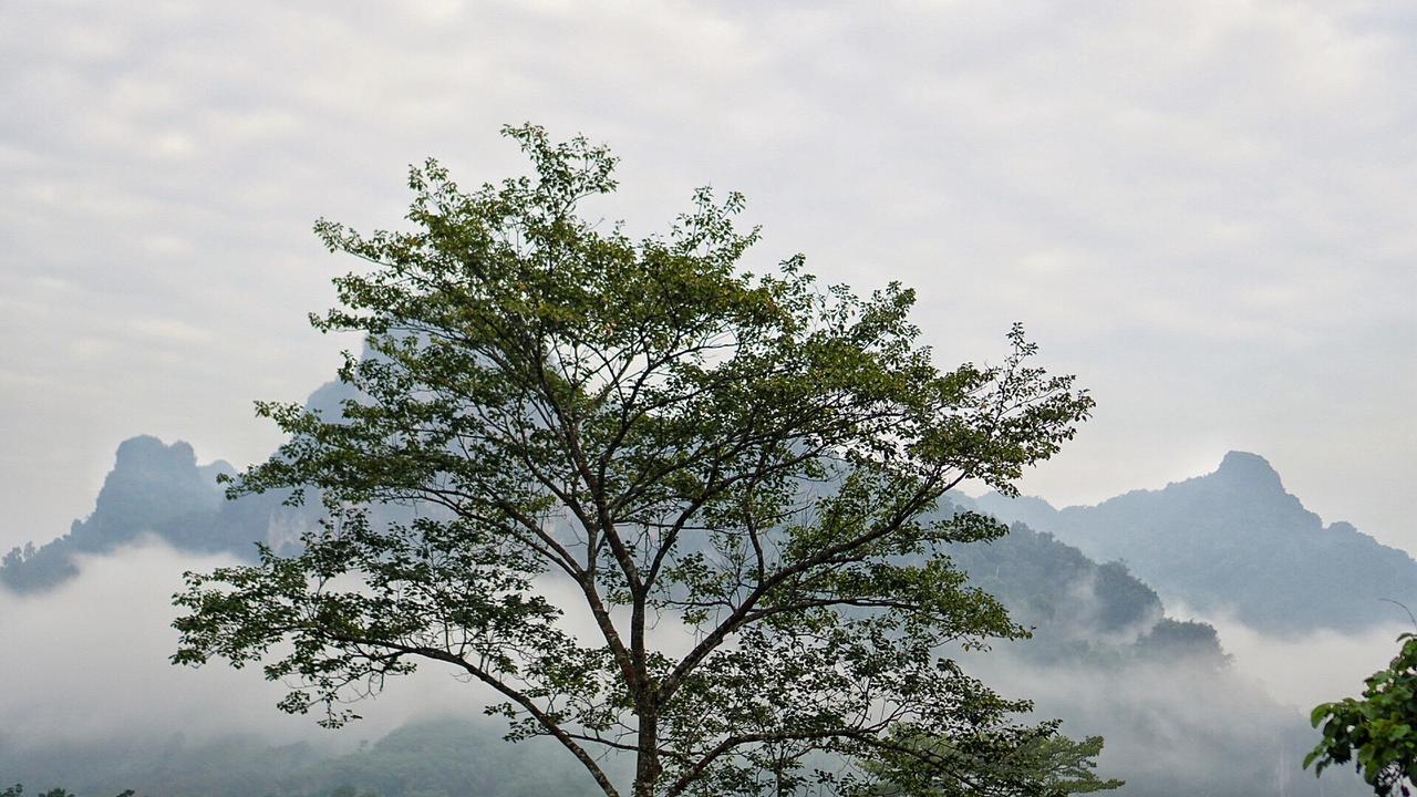 Khaowong Resort Pangnga Kültér fotó