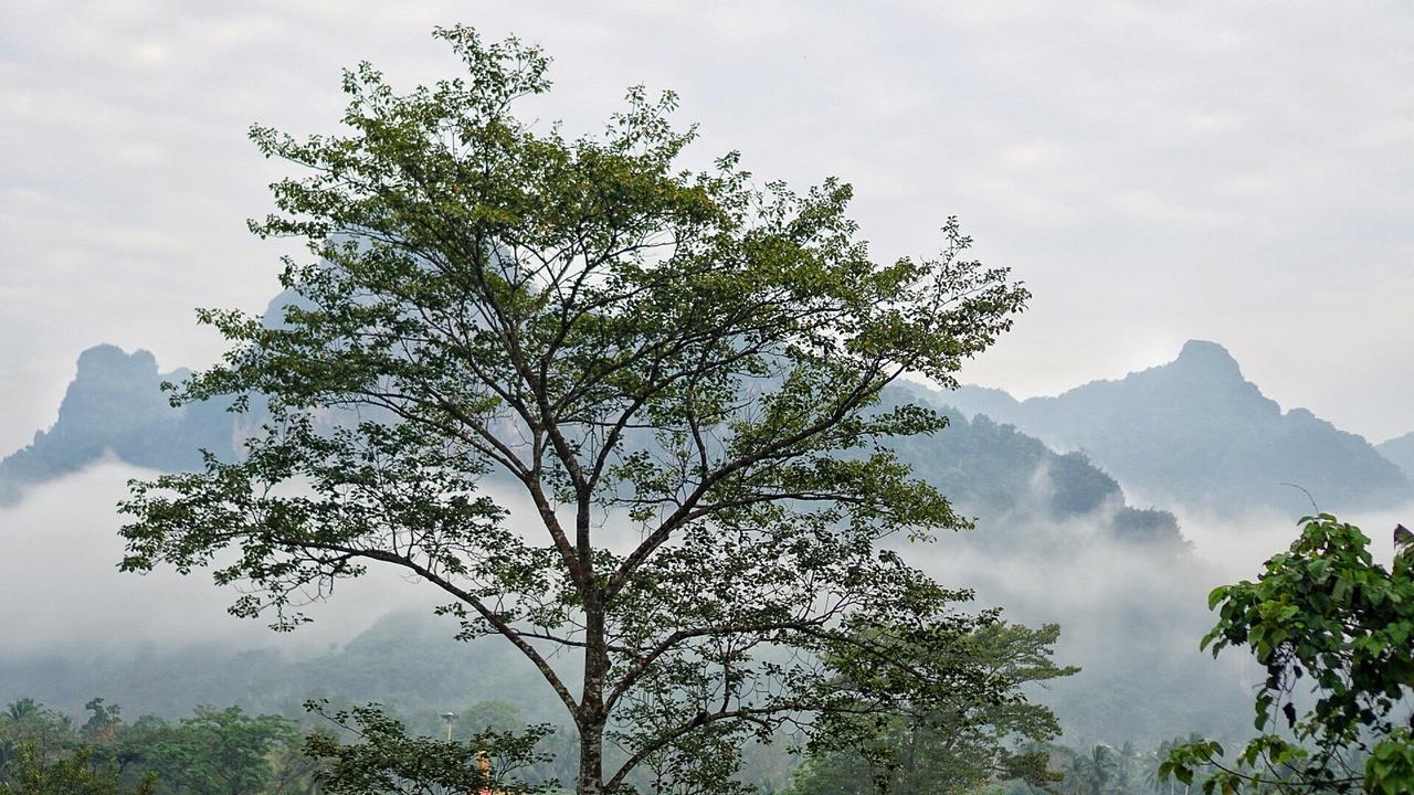 Khaowong Resort Pangnga Kültér fotó